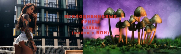 бутират Иннополис