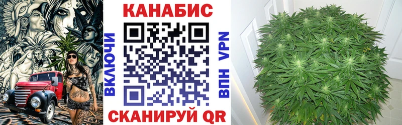Бошки Шишки SATIVA & INDICA  где купить наркотик  Валуйки 